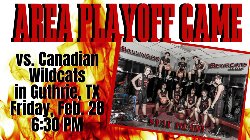 Bearcat Basketball Area Playoff Game